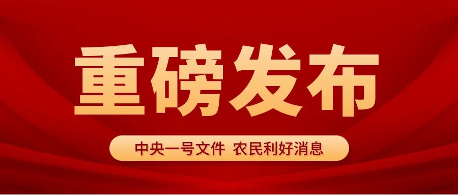 圣運速遞：2024中央一號文件解讀，這些利好消息你還沒了解？